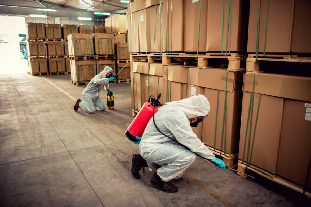 Best Rat Extermination Near Me  in Willmar, MN