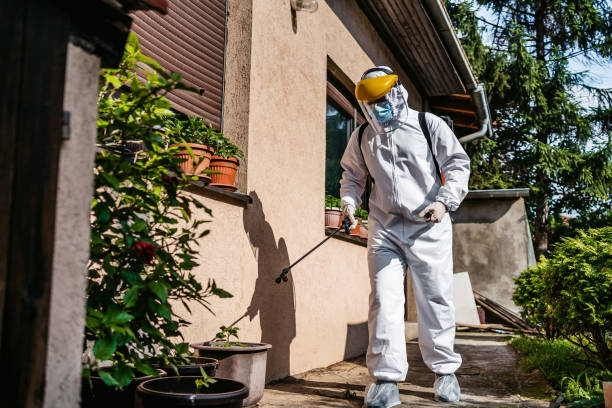 Best Commercial Pest Control Services  in Willmar, MN