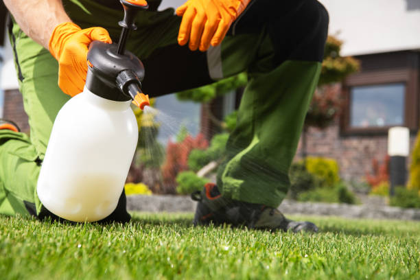 Best Affordable Pest Control Services  in Willmar, MN
