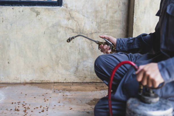 Best Pest Control for Restaurants  in Willmar, MN