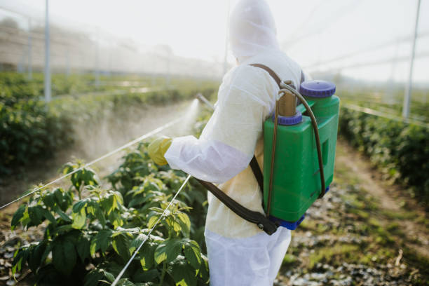 Best Mosquito Control Services  in Willmar, MN